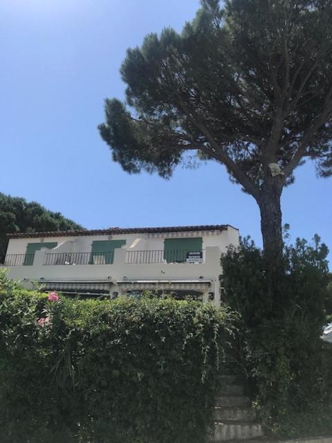 Studio Bellevue Cogolin Εξωτερικό φωτογραφία